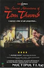 Тайные приключения Тома Тамба (1993)