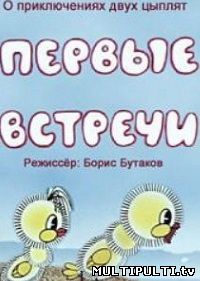 Первые встречи